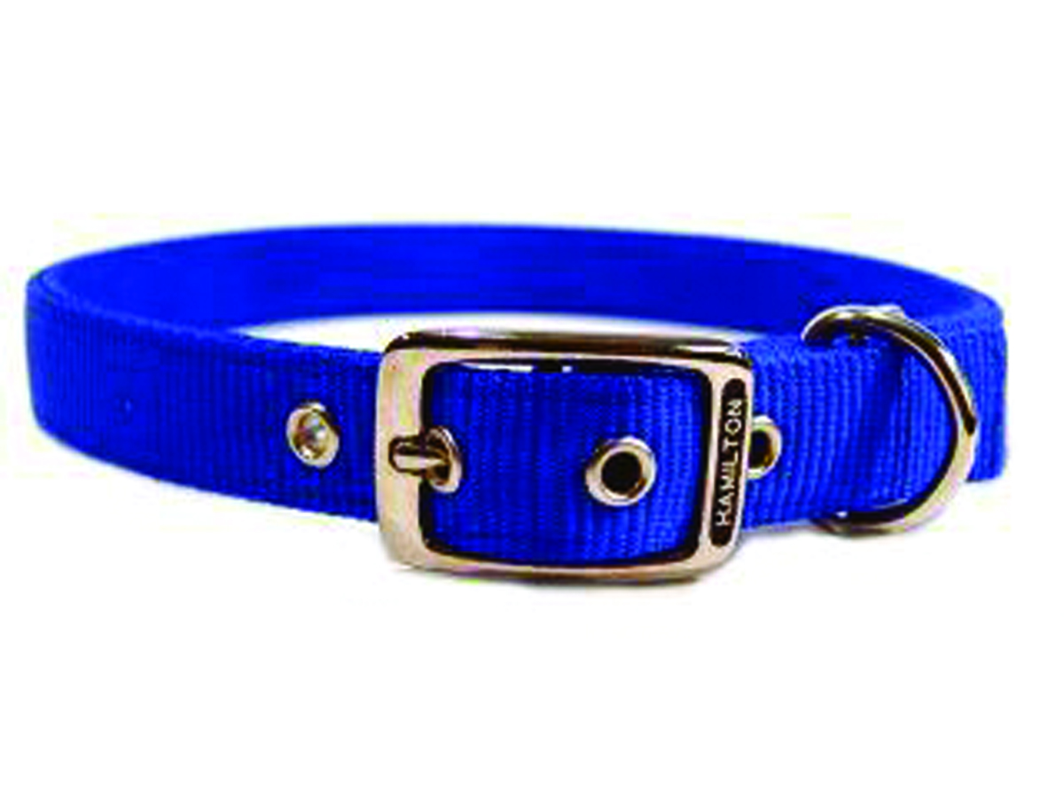 Deluxe Double Thick Nylon Collar - Blue - 1" X 28"
