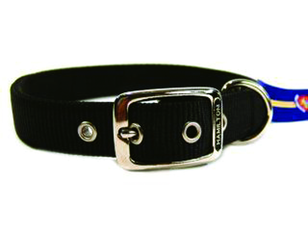 Deluxe Double Thick Nylon Collar - Black - 1" X 24"