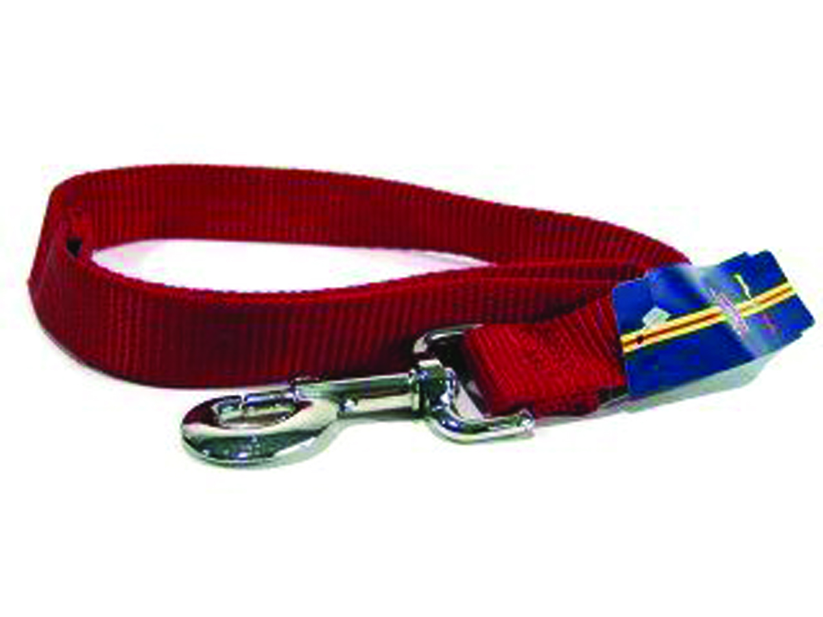 Single Thick Nylon Leash With Snap - Red