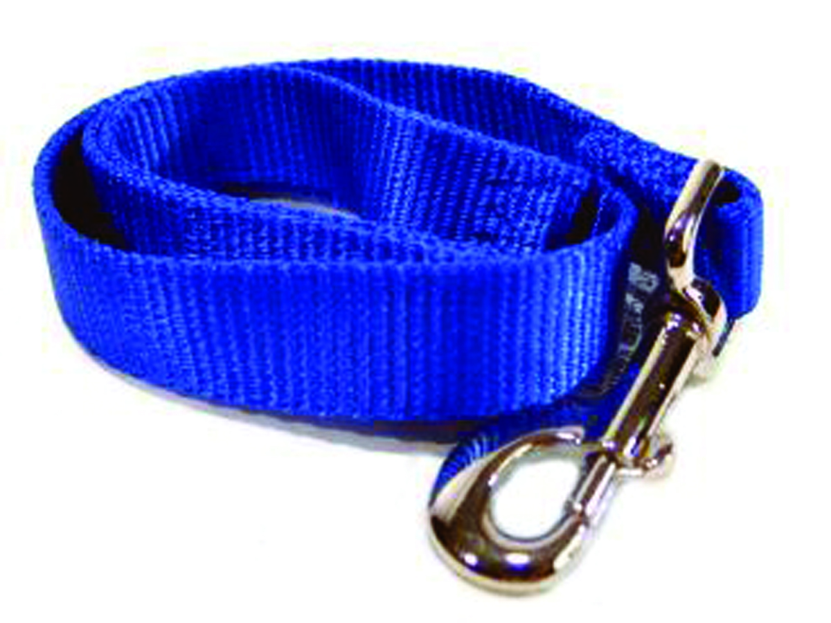 Single Thick Nylon Leash With Snap - Blue