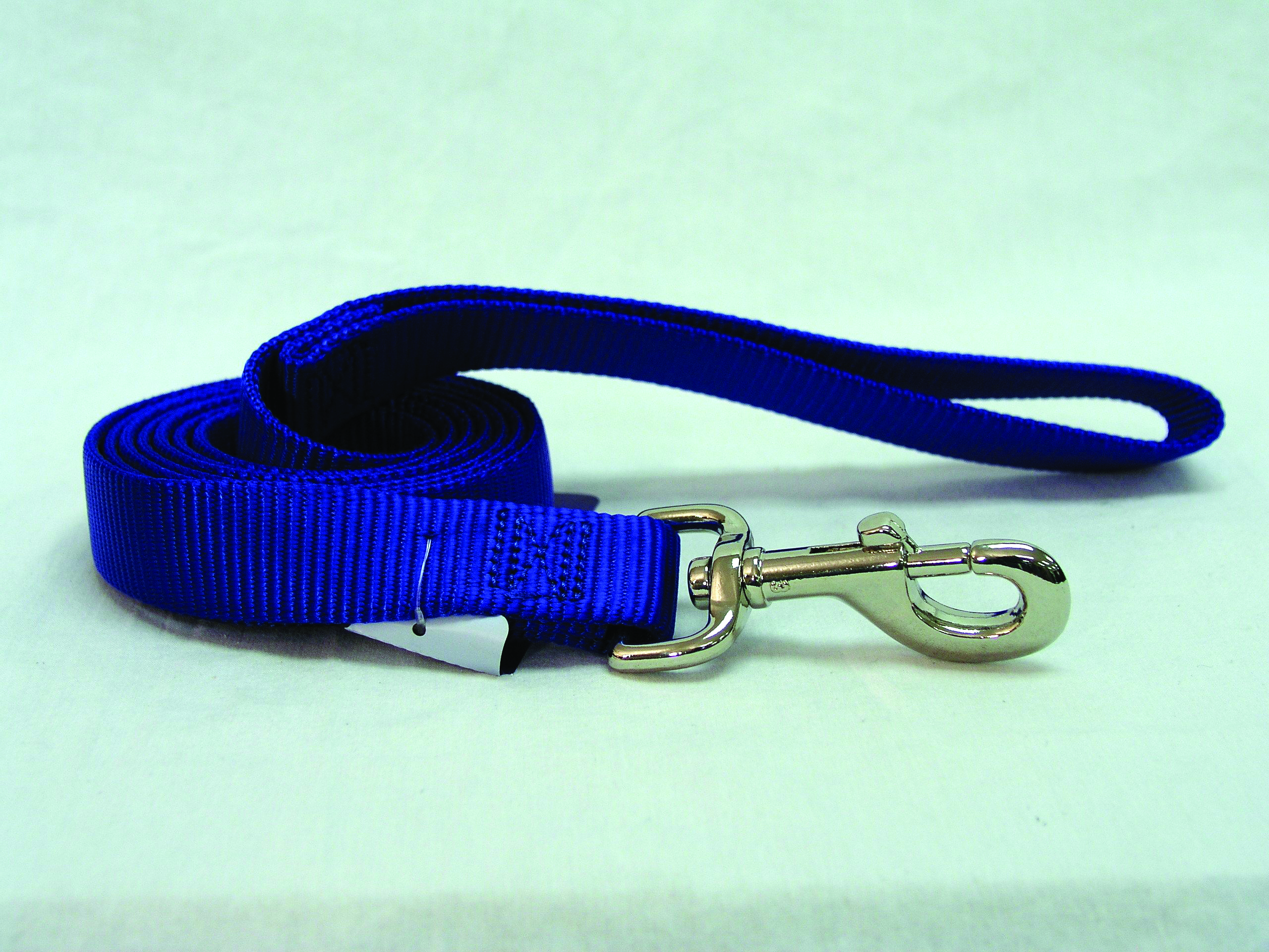 Single Thick Nylon Leash With Snap - Blue