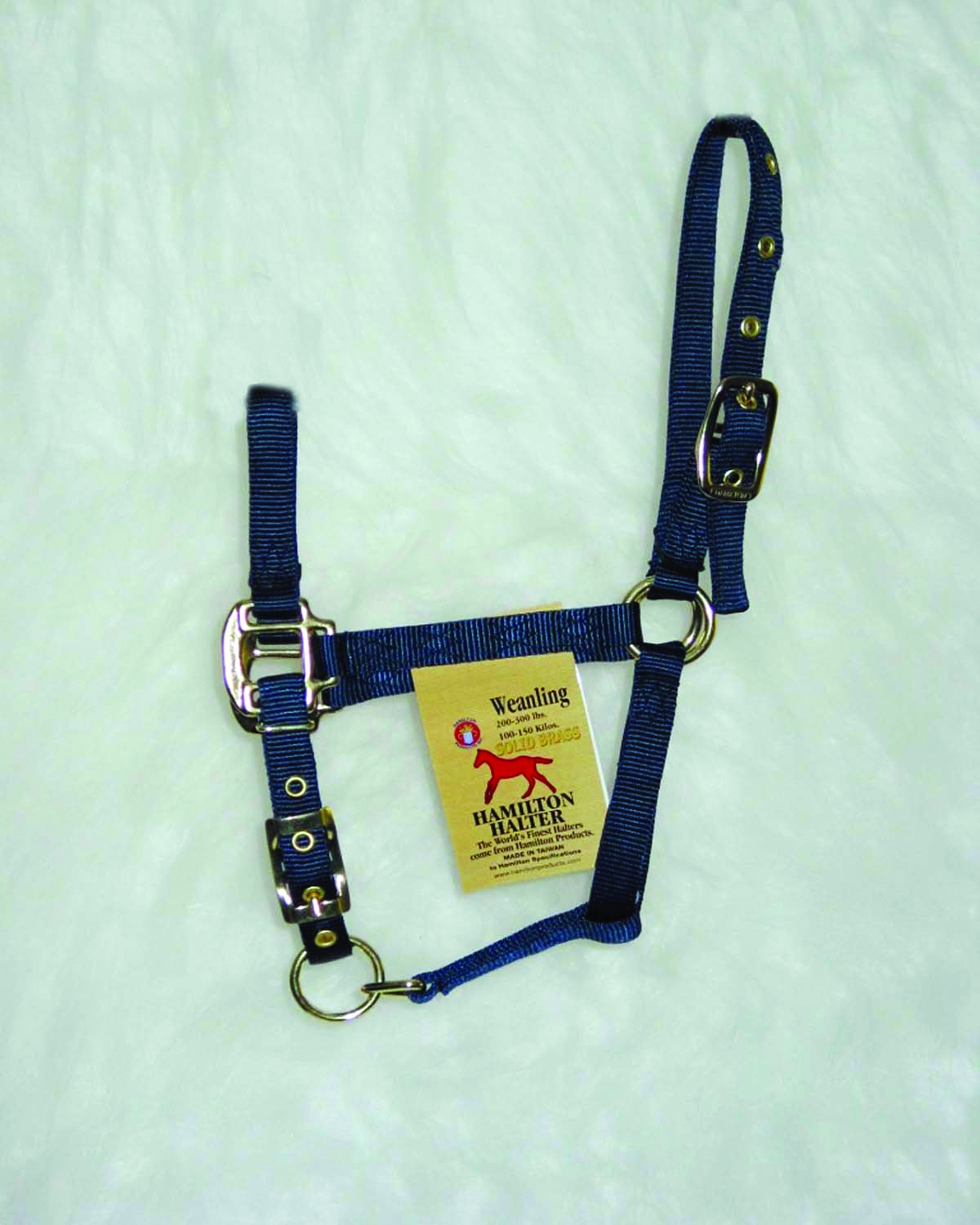 Weanling Adjustable Halter W/snap - Navy