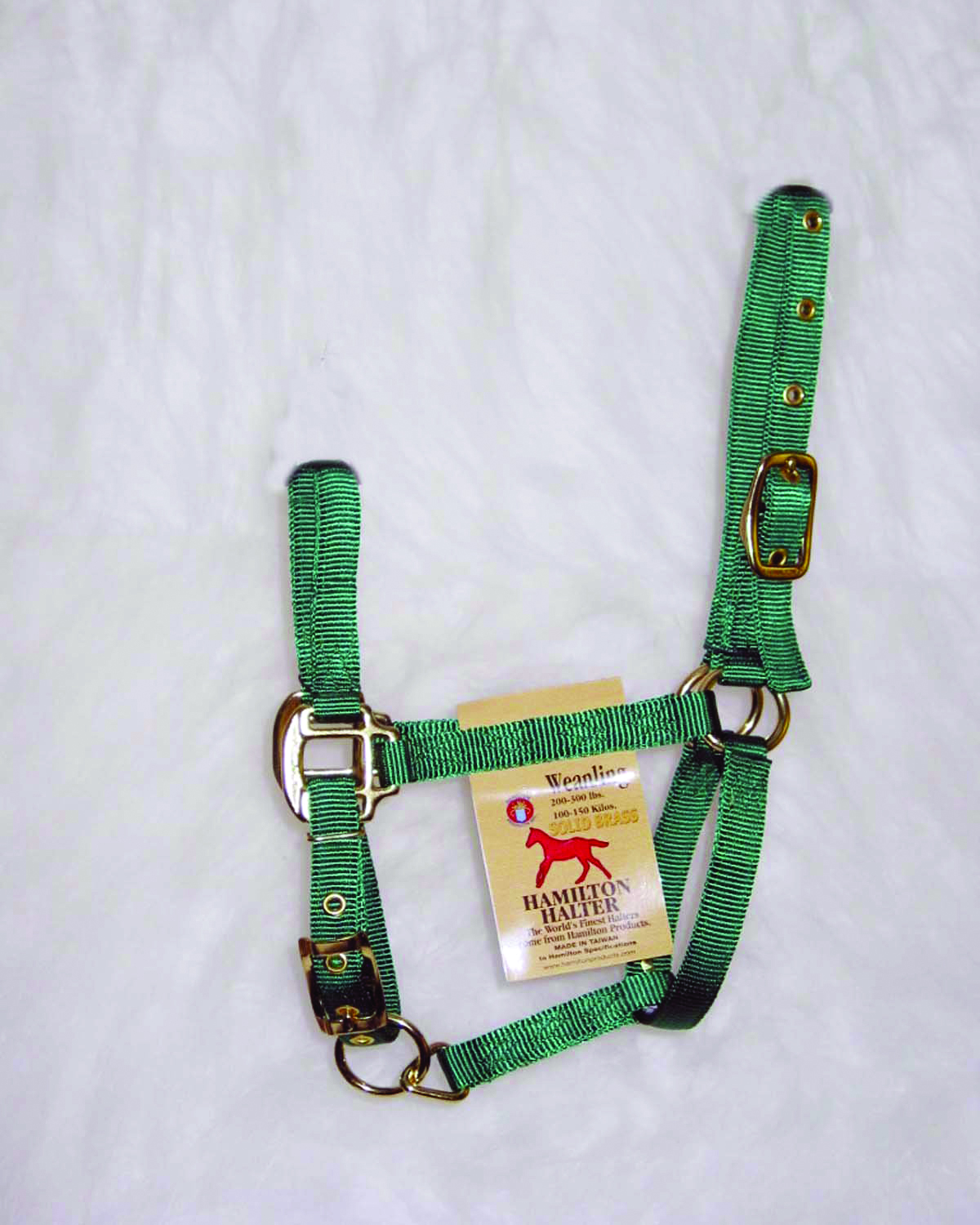 Weanling Adjustable Halter W/snap - Green