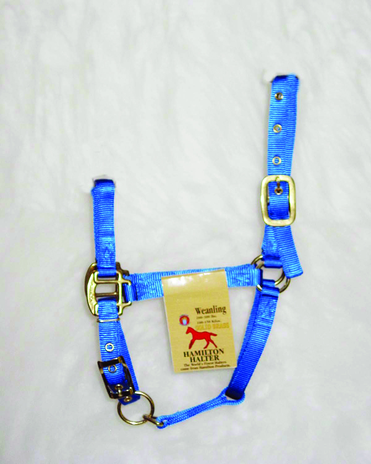 Weanling Adjustable Halter W/snap - Blue