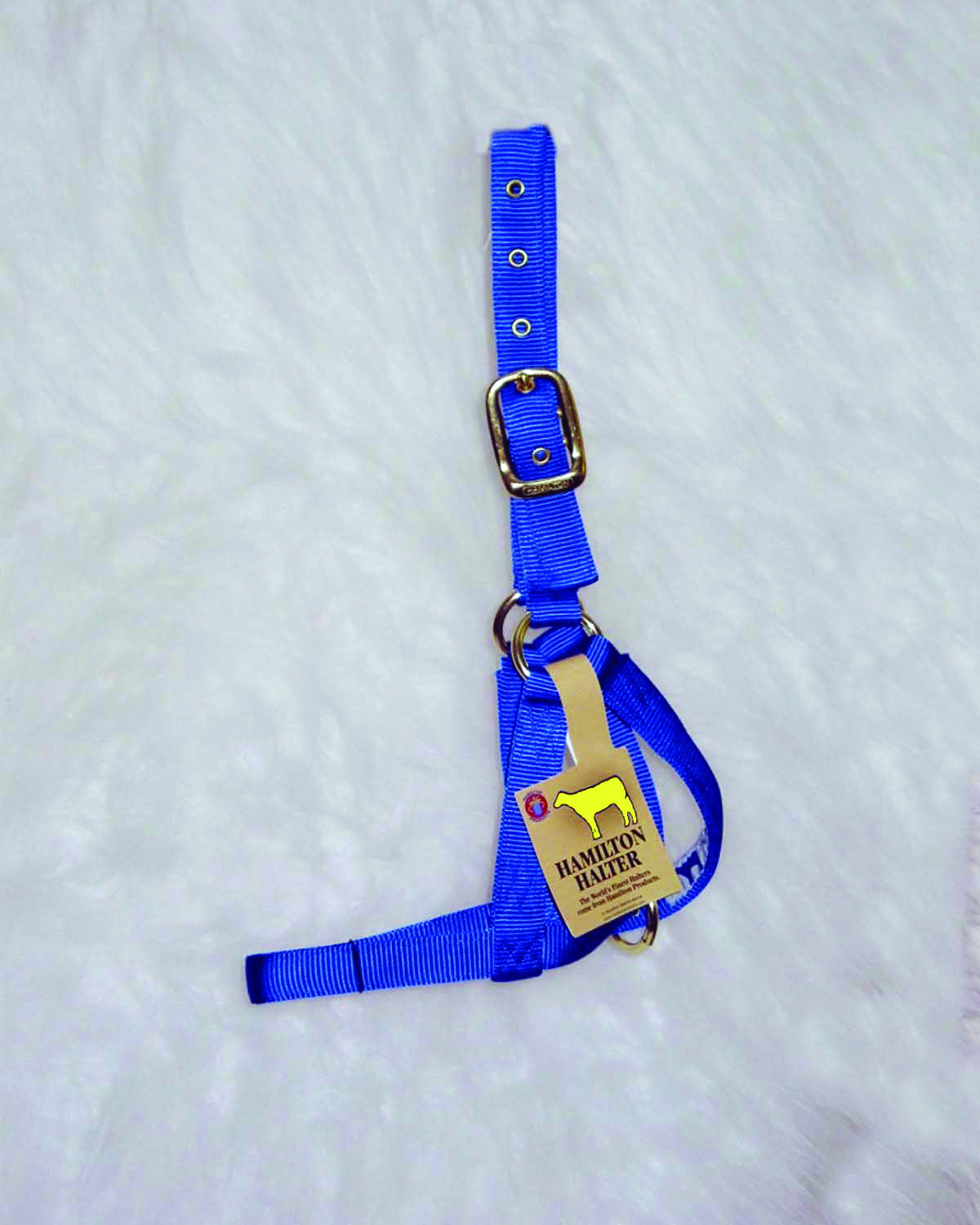 Turnout Halter - Cow Blue