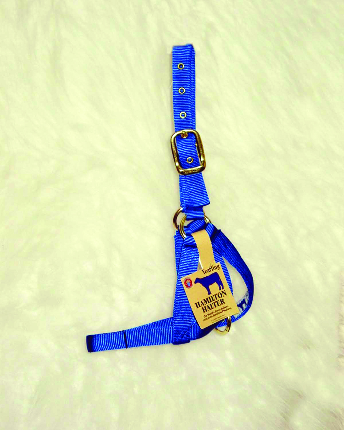 Halter Yearling Turnout - Blue