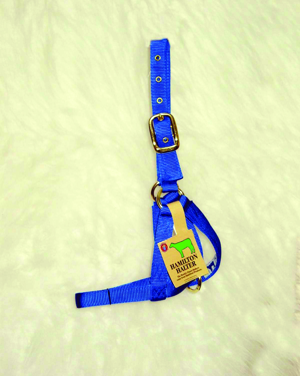 Turnout Halter - Calf Blue