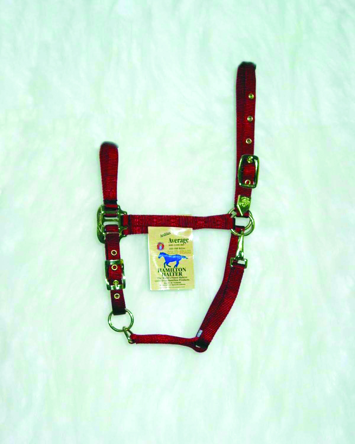 Arabian Halter Average - Red