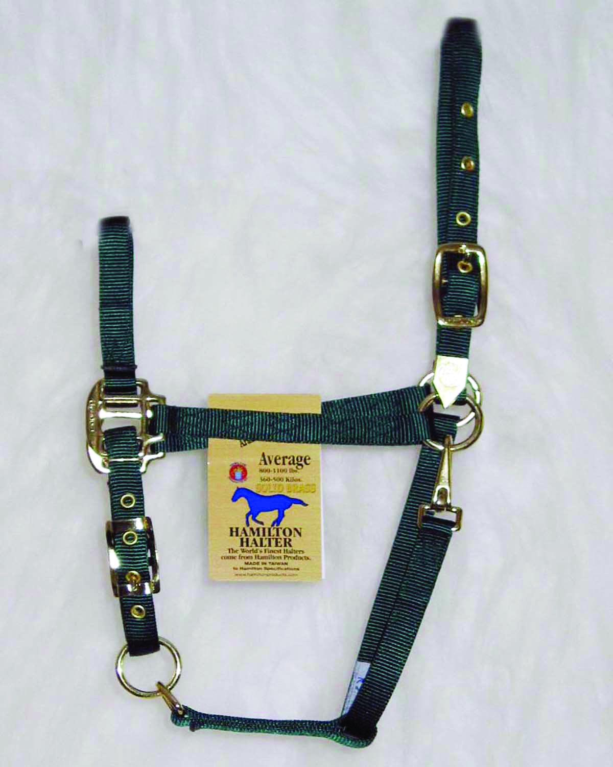 Arabian Halter Average - Hunter Green