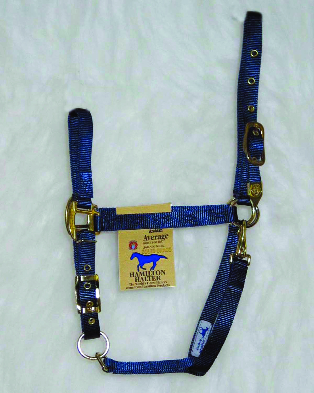 Arabian Halter Average - Navy