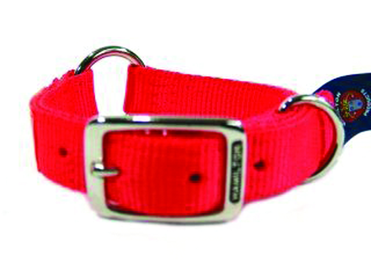 Double Thick Nylon Safe-Rite Collar 3/4