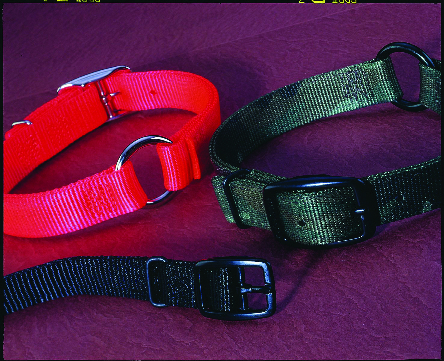 Double Thick Nylon Safe-Rite Collar 3/4