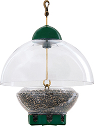 Big Top Feeder Green