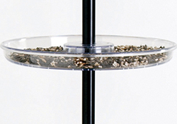 Universal Seed Tray