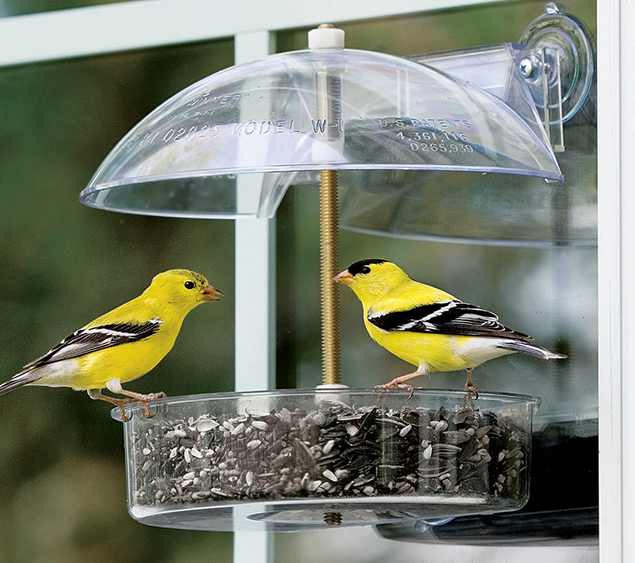 The Winner Window Bird Feeder