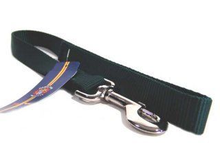 Single Thick Nylon Leash With Snap - Hunter
