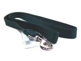 Single Thick Nylon Leash With Snap - Hunter