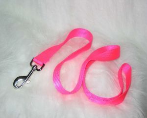 Single Thick Nylon Leash With Snap - Hot Pink