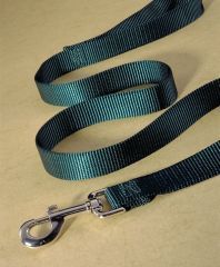 3/4" Nylon Lead Strap - Hunter