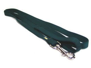 Single Thick Nylon Leash With Snap - Hunter