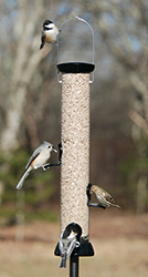 ONYX CLEVER CLEAN SUNFLOWER FEEDER