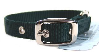 5/8" Nylon Dog Collar - Hunter -14