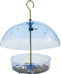 SEED SAVER DISH