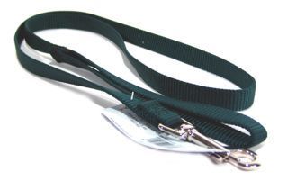 Single Thick Nylon Leash - Hunter