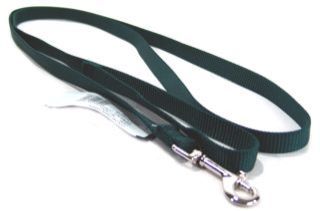 Single Thick Nylon Leash - Hunter