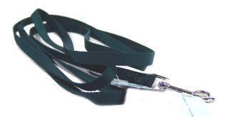 Single Thick Nylon Leash - Hunter