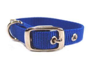 5/8" Nylon Dog Collar - Blue -12