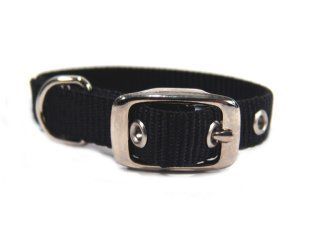 5/8" Nylon Dog Collar - Black -12
