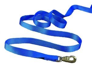 Nylon Lead W/snap 7ft - Blue