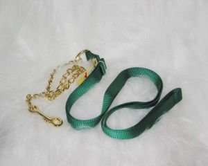 Nylon Lead W/chain 7ft - Green