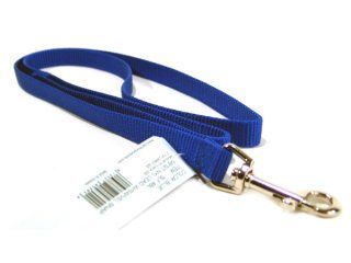 Single Thick Nylon Leash - Blue