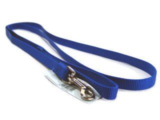 Single Thick Nylon Leash - Blue