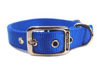 Deluxe Double Thick Nylon Collar - Blue - 1" X 22"