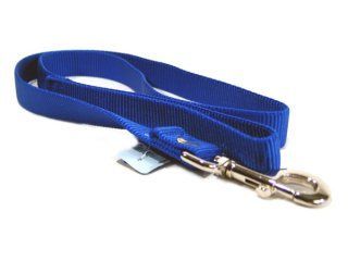 Single Thick Nylon Leash With Snap - Blue