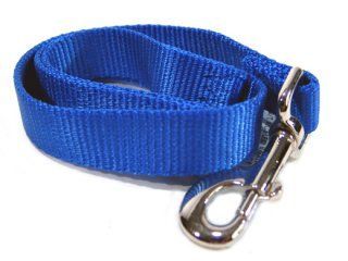 Single Thick Nylon Leash With Snap - Blue