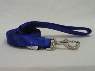 Single Thick Nylon Leash With Snap - Blue