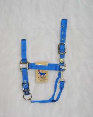 Nylon Adjustable Chin Halter - Blue - Average