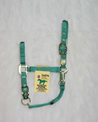 Nylon Adjustable Chin Halter - Green - Yearling