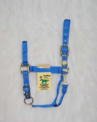 Nylon Adjustable Chin Halter - Blue - Yearling