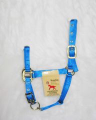 Weanling Adjustable Halter W/snap - Blue