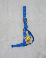 Turnout Halter - Cow Blue