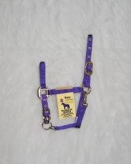 Pony Adjustable Halter W/snap - Purple