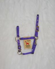 Weanling Adjustable Halter W/snap - Purple