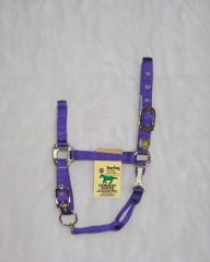 Nylon Adjustable Chin Halter - Prune - Yearling