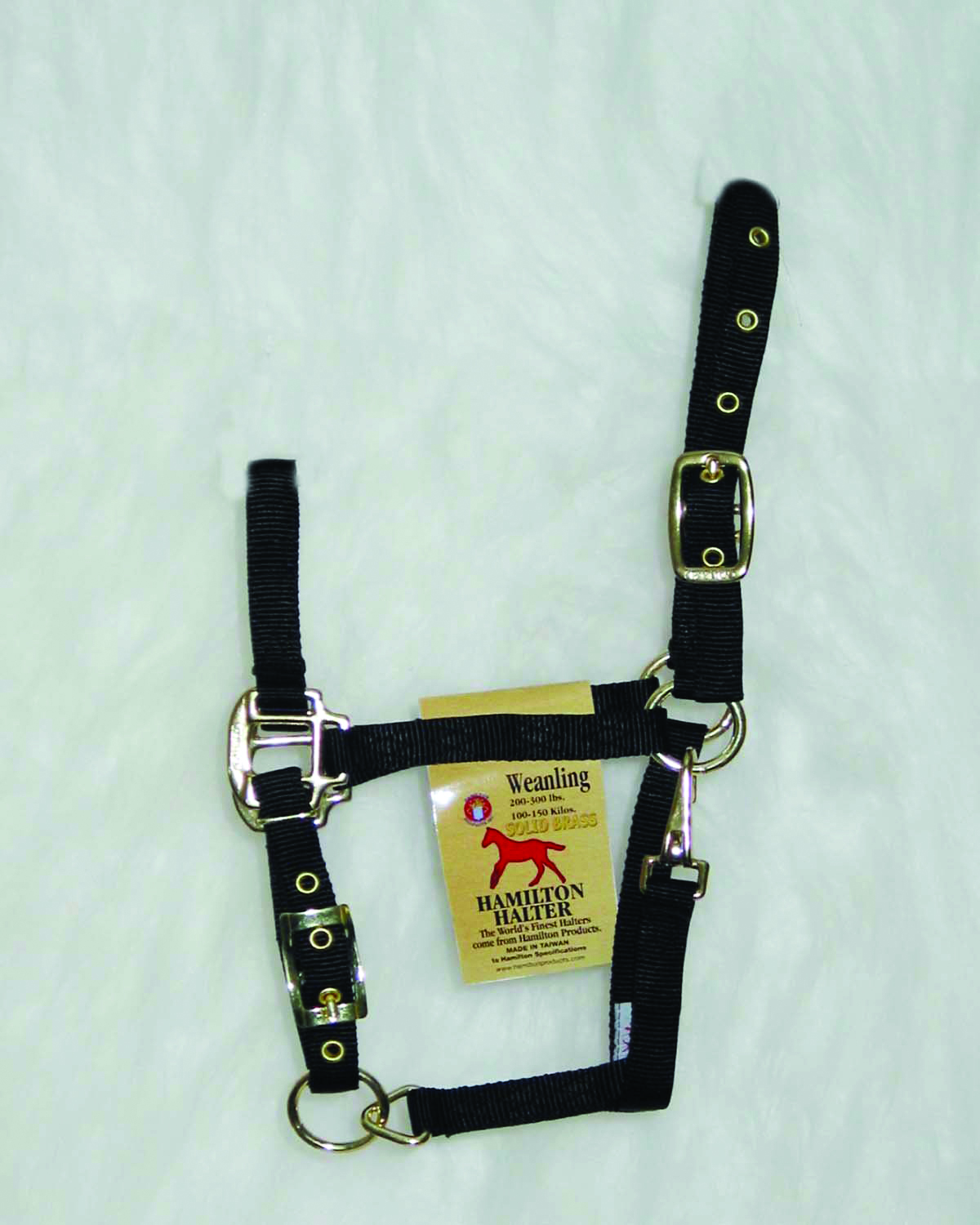 Weanling Adjustable Halter W/snap - Black