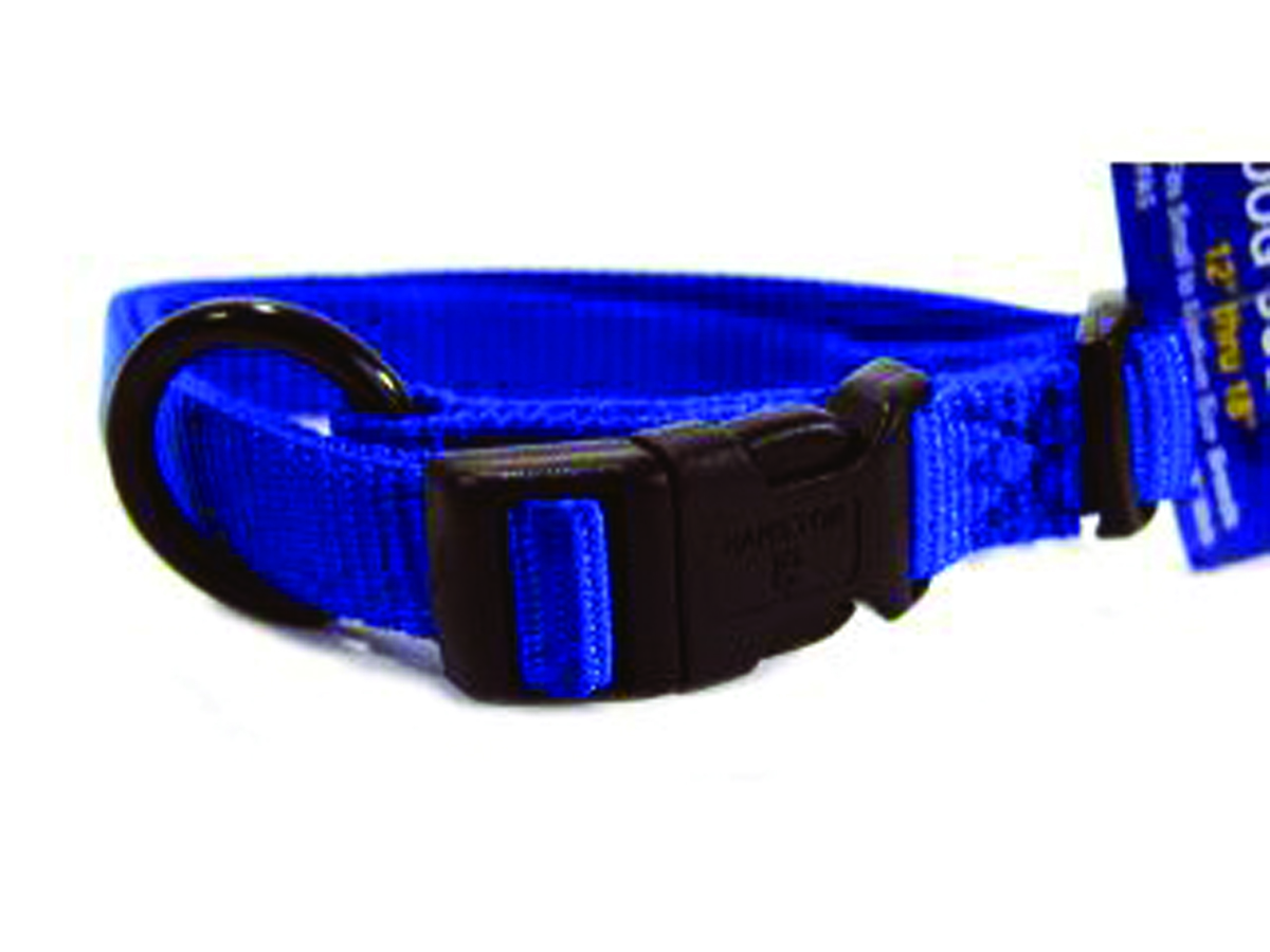 5/8" Fits All Adjustable Nylon Collar - Blue 12-18